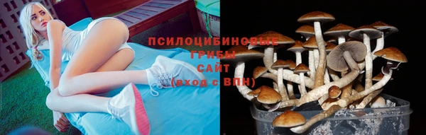 трава Алексин