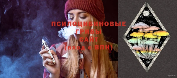 ПСИЛОЦИБИНОВЫЕ ГРИБЫ Алзамай