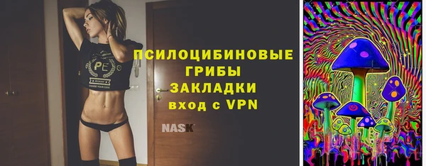 ПСИЛОЦИБИНОВЫЕ ГРИБЫ Алзамай