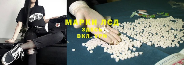 ПСИЛОЦИБИНОВЫЕ ГРИБЫ Алзамай