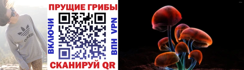 Галлюциногенные грибы GOLDEN TEACHER  Джанкой 